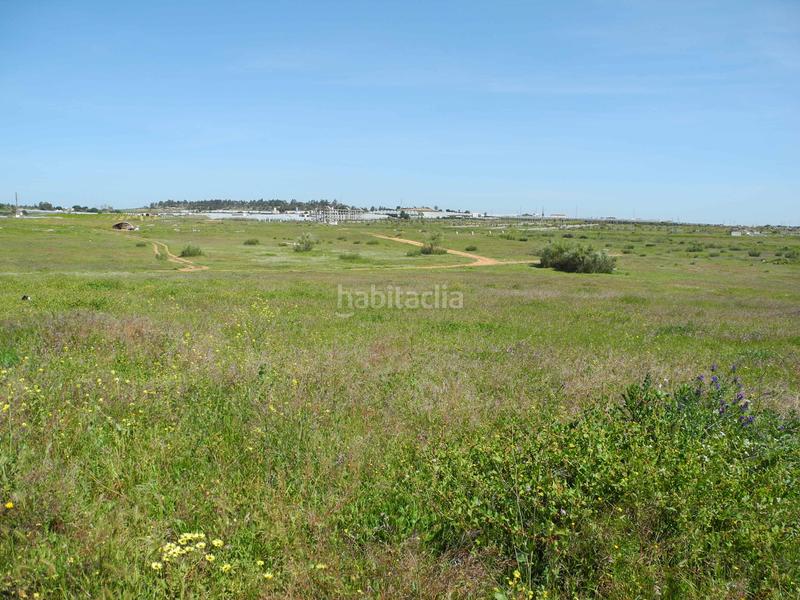 Foto 1f8868f3-d184-4976-9fee-0711d44e17e1. Landgut in Lepe Foto 1f8868f3-d184-4976-9fee-0711d44e17e1. Landgut in Lepe