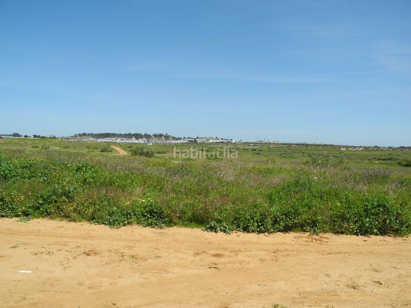 Foto 3d6d27cb-8e5a-4613-96f1-351e4fa63f81. Landgut in Lepe Foto 3d6d27cb-8e5a-4613-96f1-351e4fa63f81. Landgut in Lepe