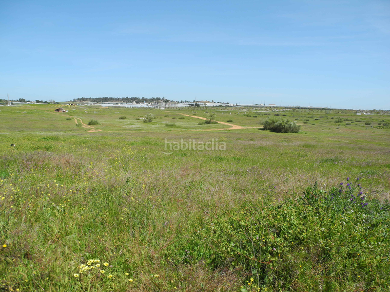 Foto 6de42519-01c8-46ea-9d55-6550d93d3046. Landgut in Lepe Foto 6de42519-01c8-46ea-9d55-6550d93d3046. Landgut in Lepe