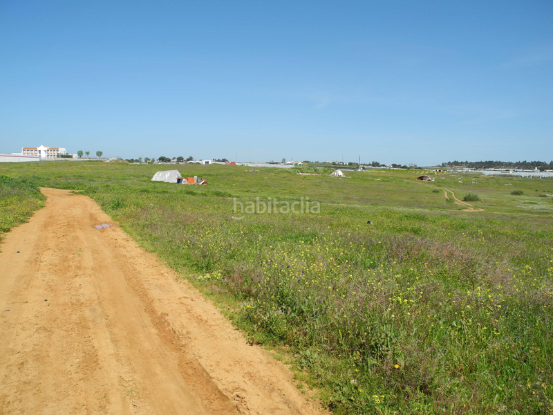 Foto a69ff729-7c3b-4ee3-bdd6-bec17f5a9d66. Landgut in Lepe Foto a69ff729-7c3b-4ee3-bdd6-bec17f5a9d66. Landgut in Lepe