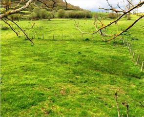Rural plot  C/ valerio. Solvia inmobiliaria  suelo rústico suano Rural plot  C/ valerio. Solvia inmobiliaria  suelo rústico suano