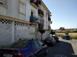 Business premise San pedro. Solvia inmobiliaria locales cartaya Business premise San pedro. Solvia inmobiliaria locales cartaya