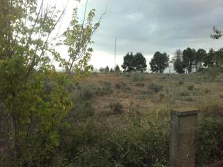 Finca rústica  Cerdera alta. Solvia inmobiliaria  suelo urbanizable lleida Finca rústica  Cerdera alta. Solvia inmobiliaria  suelo urbanizable lleida