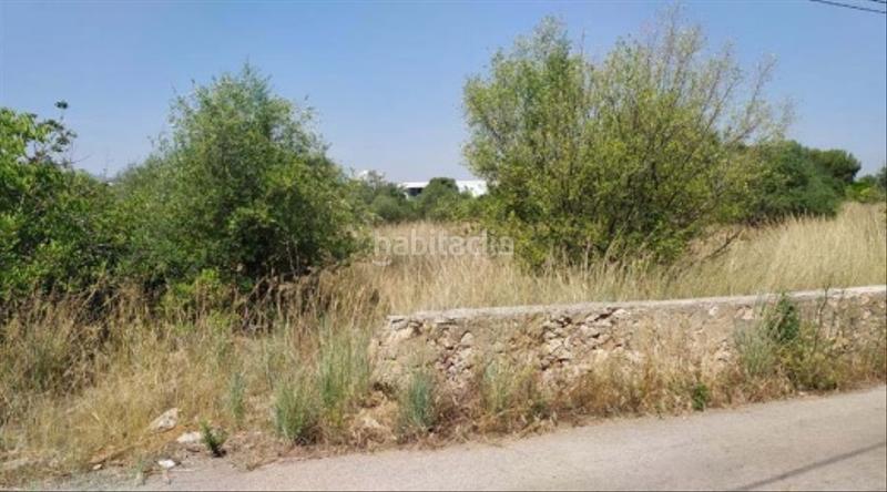 Foto 1780802e-7198-46cd-b886-4f9b360d6328. Finca rústica a Madrigal Villarreal / Vila - real Foto 1780802e-7198-46cd-b886-4f9b360d6328. Finca rústica a Madrigal Villarreal / Vila - real