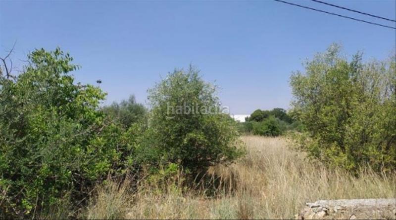 Foto d4a17bf2-f9f9-4012-9a0a-c276719d0f8f. Finca rústica a Madrigal Villarreal / Vila - real Foto d4a17bf2-f9f9-4012-9a0a-c276719d0f8f. Finca rústica a Madrigal Villarreal / Vila - real