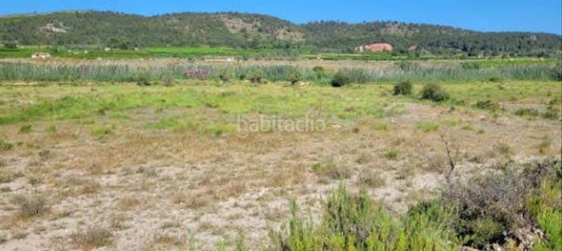 Foto 4302ca88-beb5-458a-8c81-a1108a3badef. Finca rústica solvia inmobiliaria suelo rústico en Real de Montroi Foto 4302ca88-beb5-458a-8c81-a1108a3badef. Finca rústica solvia inmobiliaria suelo rústico en Real de Montroi