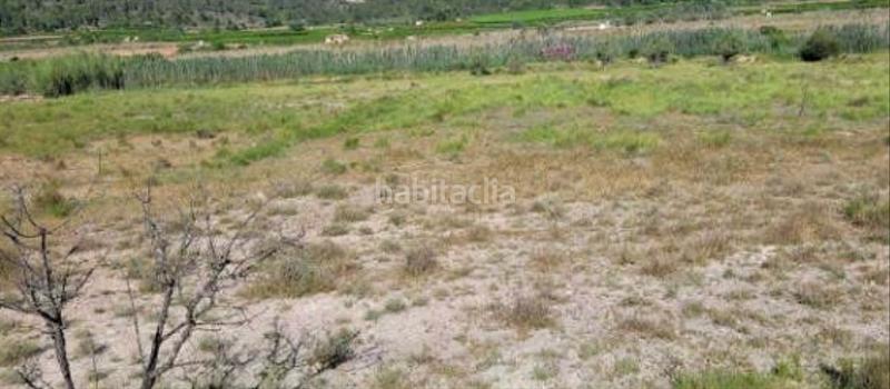 Foto 5237fd14-94dd-49fa-b72f-d27129d7988b. Finca rústica solvia inmobiliaria suelo rústico en Real de Montroi Foto 5237fd14-94dd-49fa-b72f-d27129d7988b. Finca rústica solvia inmobiliaria suelo rústico en Real de Montroi