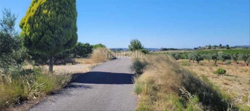 Foto ed642405-68f3-4021-aabb-006a1b20d554. Finca rústica solvia inmobiliaria suelo rústico en Real de Montroi Foto ed642405-68f3-4021-aabb-006a1b20d554. Finca rústica solvia inmobiliaria suelo rústico en Real de Montroi