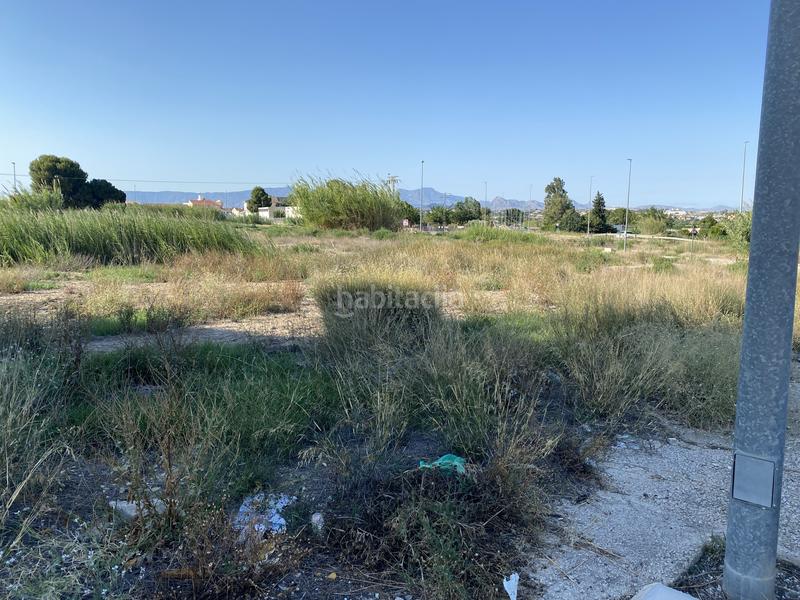 Foto f0705b23-54df-430f-9a68-83726c5ec1e2. Landgut in Ceutí Foto f0705b23-54df-430f-9a68-83726c5ec1e2. Landgut in Ceutí