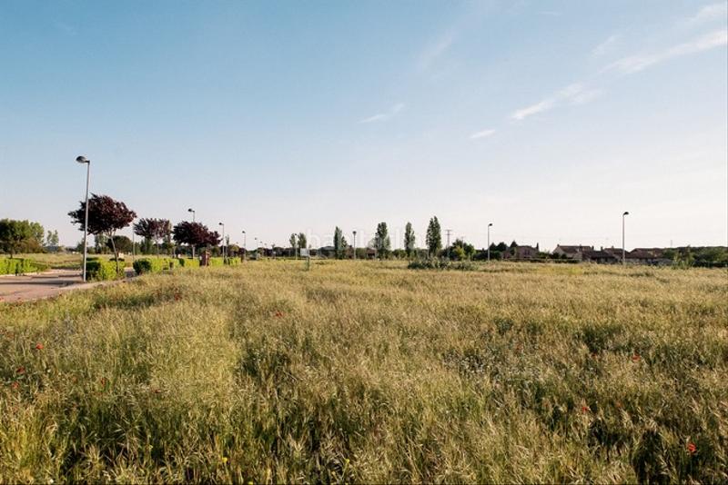 Foto a5ff26de-25c5-40dd-9c7e-cb53b2bea3c1. Finca rústica a Aldeamayor de San Martín Foto a5ff26de-25c5-40dd-9c7e-cb53b2bea3c1. Finca rústica a Aldeamayor de San Martín