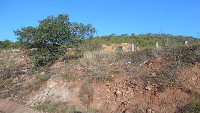 Foto 43d15e16-704f-4779-822b-ae51def5ed72. Fondo rustico in Serra Foto 43d15e16-704f-4779-822b-ae51def5ed72. Fondo rustico in Serra
