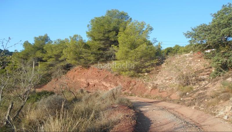Foto 4eeb2bab-989a-42d1-ab0d-8ccd8c748c2f. Fondo rustico in Serra Foto 4eeb2bab-989a-42d1-ab0d-8ccd8c748c2f. Fondo rustico in Serra