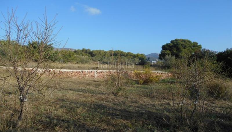 Foto 776d502c-47e8-4141-a52c-5d27c3a3da83. Fondo rustico in Serra Foto 776d502c-47e8-4141-a52c-5d27c3a3da83. Fondo rustico in Serra