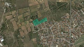 Finca rústica  Camí del moro. Solvia inmobiliaria  suelo urbanizable no sectorizado torredemba Finca rústica  Camí del moro. Solvia inmobiliaria  suelo urbanizable no sectorizado torredemba
