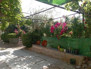 Mas à Huelma. Casa rústica en huelma Mas à Huelma. Casa rústica en huelma