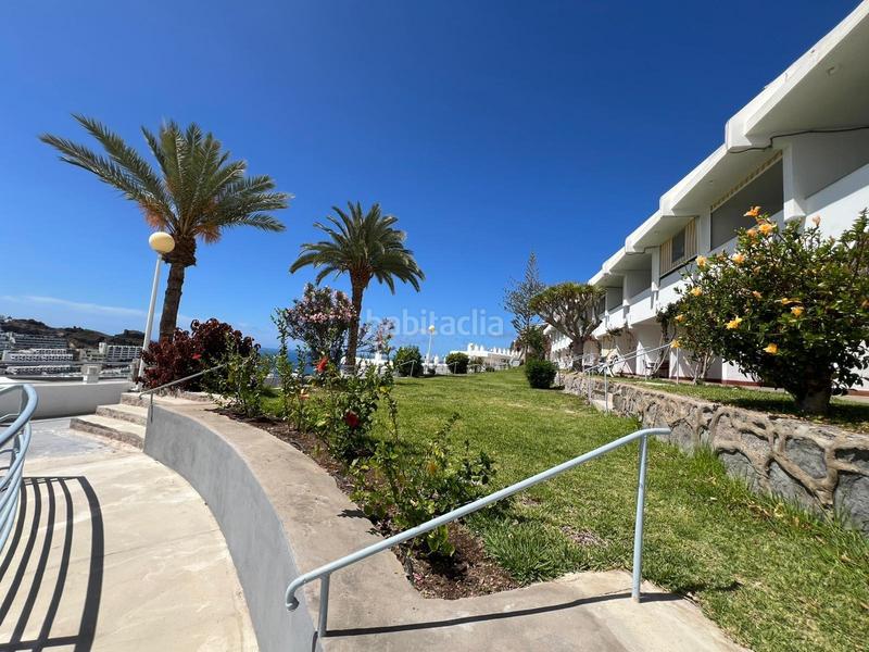 Foto 4667a897-151f-4c5f-a3e1-02fafa0dfc57. Studio with pool in Puerto Rico Mogán Foto 4667a897-151f-4c5f-a3e1-02fafa0dfc57. Studio with pool in Puerto Rico Mogán