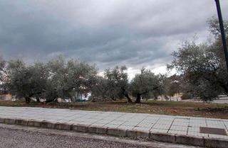 Terreny residencial a La ermita barriada de salinas sector sur s-3. Tu suelo al mejor precio en venta en archidona málaga. es un sol Terreny residencial a La ermita barriada de salinas sector sur s-3. Tu suelo al mejor precio en venta en archidona málaga. es un sol
