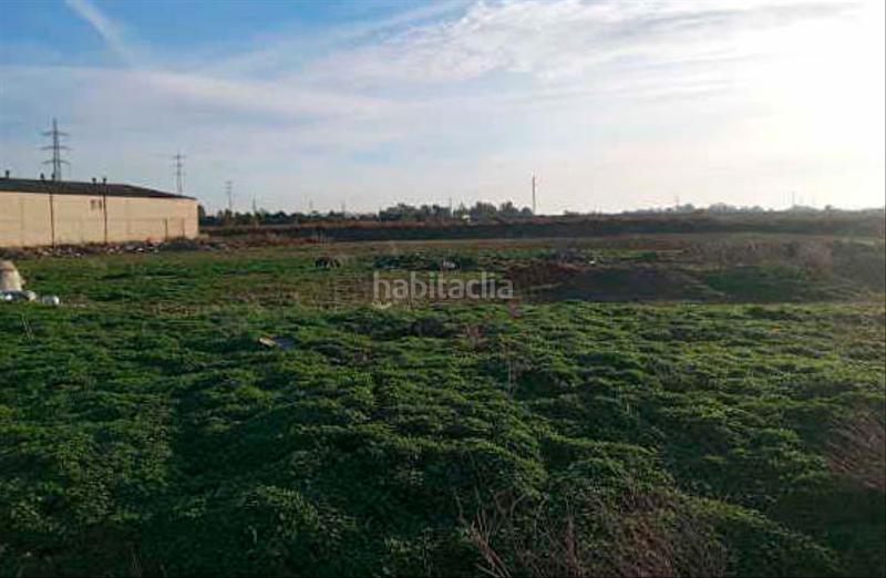 Foto 0b65340c-6c49-49bb-8820-59abe80b6c39. Wohngrundstück in extremadura in Santiponce Foto 0b65340c-6c49-49bb-8820-59abe80b6c39. Wohngrundstück in extremadura in Santiponce