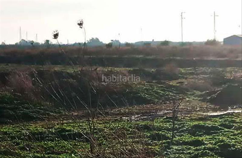 Foto 4148d3c0-e6da-4965-9916-dfb031c49a98. Wohngrundstück in extremadura in Santiponce Foto 4148d3c0-e6da-4965-9916-dfb031c49a98. Wohngrundstück in extremadura in Santiponce