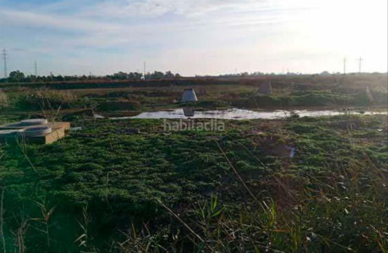 Foto d557d04b-fa90-4107-95bb-6411f053bad3. Wohngrundstück in extremadura in Santiponce Foto d557d04b-fa90-4107-95bb-6411f053bad3. Wohngrundstück in extremadura in Santiponce