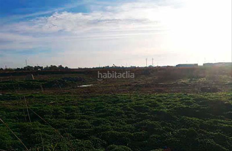 Foto e5c765f7-bd3d-4d58-9a24-5a0c0e650ffd. Wohngrundstück in extremadura in Santiponce Foto e5c765f7-bd3d-4d58-9a24-5a0c0e650ffd. Wohngrundstück in extremadura in Santiponce