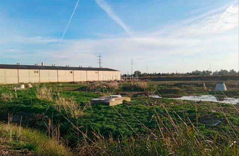 Foto ee806304-dc60-430d-bcb8-dc509673a08b. Wohngrundstück in extremadura in Santiponce Foto ee806304-dc60-430d-bcb8-dc509673a08b. Wohngrundstück in extremadura in Santiponce