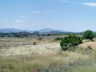 Terreny residencial a Partida cañaeta del arroz, polig 22, parc 42. Tu suelo al mejor precio en venta en la urbanización la rabassa, Terreny residencial a Partida cañaeta del arroz, polig 22, parc 42. Tu suelo al mejor precio en venta en la urbanización la rabassa,