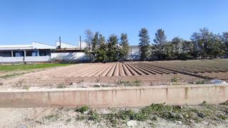 Terrain résidentiel à Vereda enmedio. Tu suelo al mejor precio en venta en el raal, una pedanía perten Terrain résidentiel à Vereda enmedio. Tu suelo al mejor precio en venta en el raal, una pedanía perten