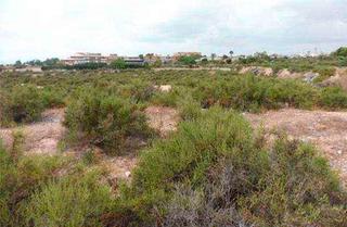 Terreny residencial a Partida de arrabal 19. Tu suelo al mejor precio en venta en crevillentecrevillent alica Terreny residencial a Partida de arrabal 19. Tu suelo al mejor precio en venta en crevillentecrevillent alica