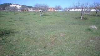 Terreno residencial en Pje espeñas p.p. r-3. Suerte de tierra de secano, al sitio de las espeñas, incluido en Terreno residencial en Pje espeñas p.p. r-3. Suerte de tierra de secano, al sitio de las espeñas, incluido en