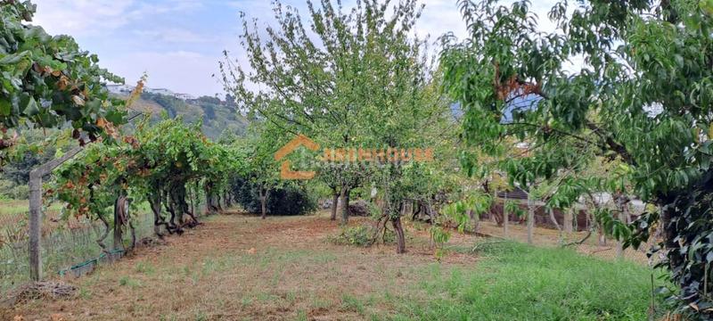 Foto 8b70721a-66a9-4560-8acd-2a8e69a29616. Terrain résidentiel dans San Rosendo Ourense Foto 8b70721a-66a9-4560-8acd-2a8e69a29616. Terrain résidentiel dans San Rosendo Ourense