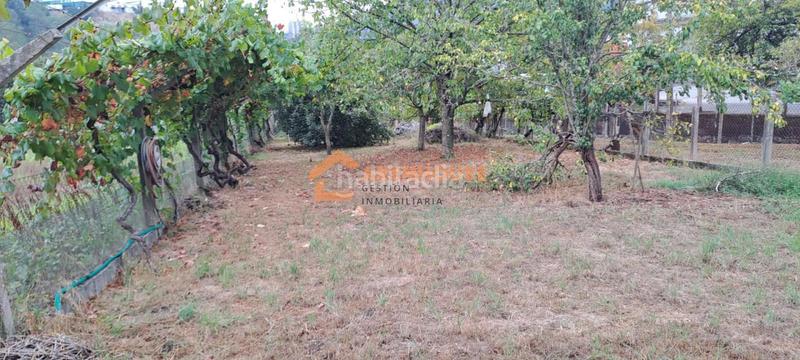 Foto 1a13f3dd-4be8-4e96-b8b0-9c89554bfb95. Terreno residenziale in San Rosendo Ourense Foto 1a13f3dd-4be8-4e96-b8b0-9c89554bfb95. Terreno residenziale in San Rosendo Ourense