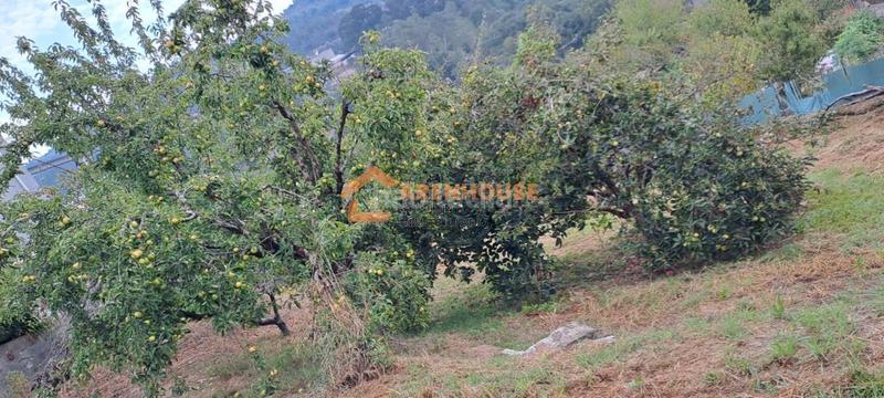 Foto 81cb0d59-ac98-4f9d-be4c-127bb35c32ed. Terreno residenziale in San Rosendo Ourense Foto 81cb0d59-ac98-4f9d-be4c-127bb35c32ed. Terreno residenziale in San Rosendo Ourense