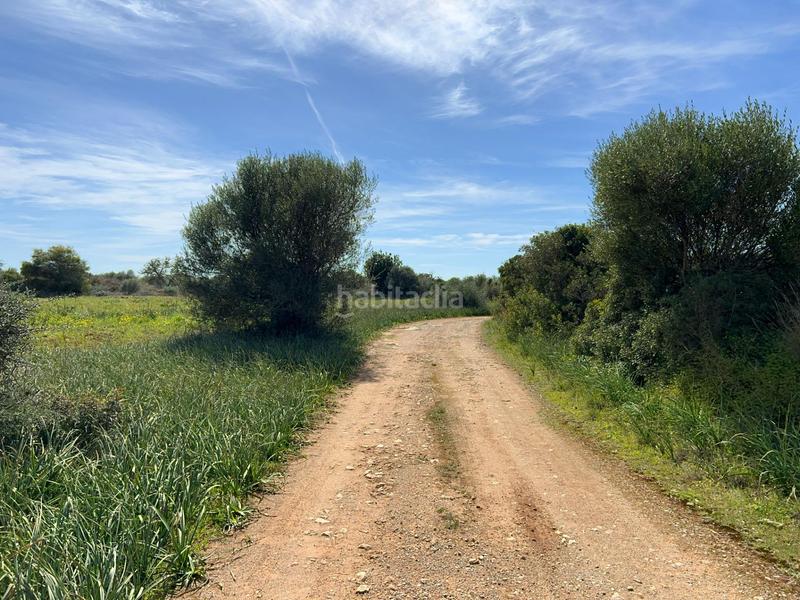 Foto 0b98b203-96e4-40d6-8aa8-ce27e8b40975. Finca rústica a Ses Salines poble Ses Salines Foto 0b98b203-96e4-40d6-8aa8-ce27e8b40975. Finca rústica a Ses Salines poble Ses Salines