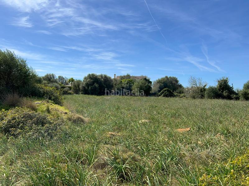 Foto 66cb90e5-a719-480a-b9af-55472b8606de. Finca rústica a Ses Salines poble Ses Salines Foto 66cb90e5-a719-480a-b9af-55472b8606de. Finca rústica a Ses Salines poble Ses Salines