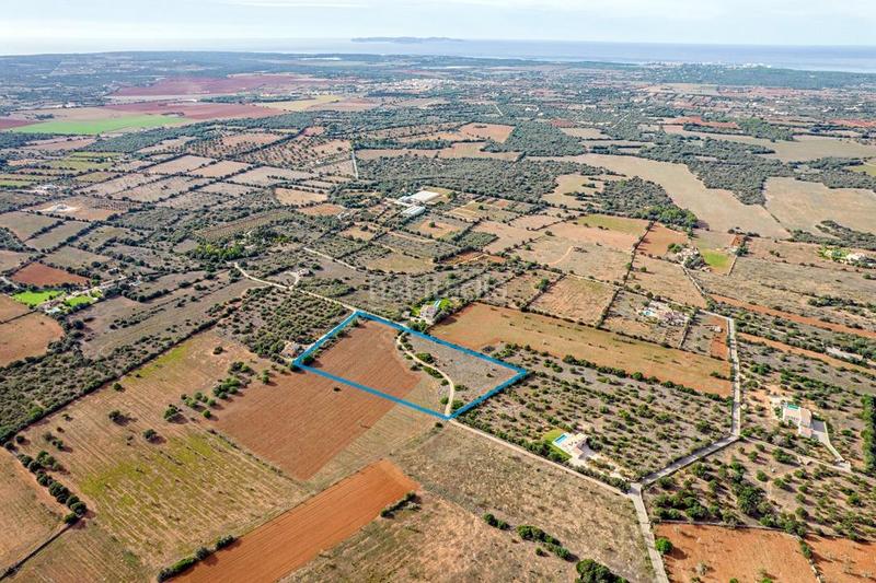 Foto 6b281524-d73d-4443-bf37-cf7178e5ff1a. Finca rústica a Ses Salines poble Ses Salines Foto 6b281524-d73d-4443-bf37-cf7178e5ff1a. Finca rústica a Ses Salines poble Ses Salines