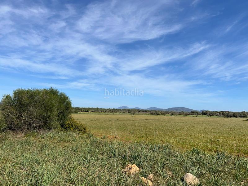 Foto 7076e808-013d-4846-a119-be8f93de3cab. Finca rústica a Ses Salines poble Ses Salines Foto 7076e808-013d-4846-a119-be8f93de3cab. Finca rústica a Ses Salines poble Ses Salines