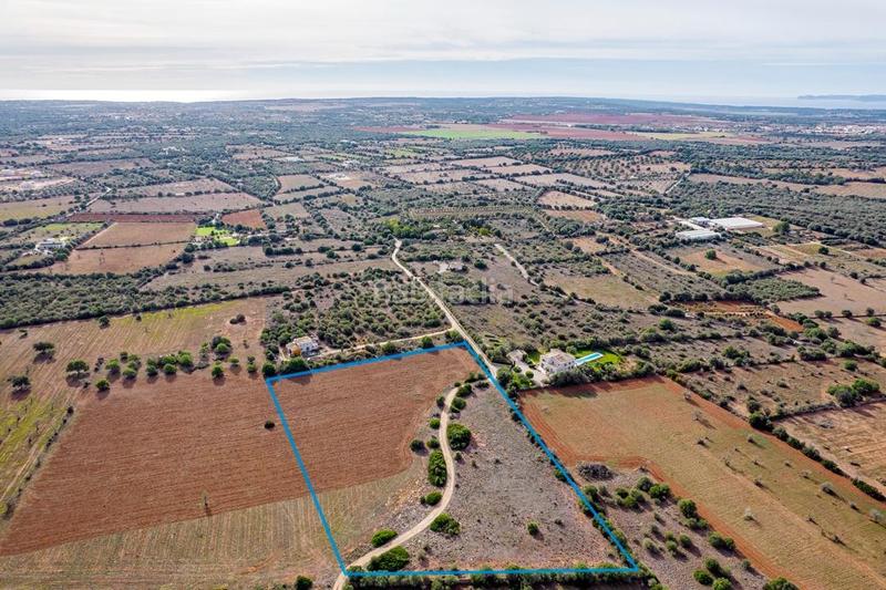 Foto 9010b127-9a5e-40a1-90b8-ea211ff969fb. Finca rústica a Ses Salines poble Ses Salines Foto 9010b127-9a5e-40a1-90b8-ea211ff969fb. Finca rústica a Ses Salines poble Ses Salines