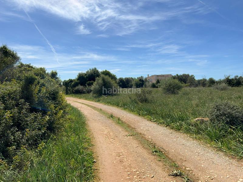 Foto b10f0f1d-90f6-49bc-9381-4a6bc3945f44. Finca rústica a Ses Salines poble Ses Salines Foto b10f0f1d-90f6-49bc-9381-4a6bc3945f44. Finca rústica a Ses Salines poble Ses Salines
