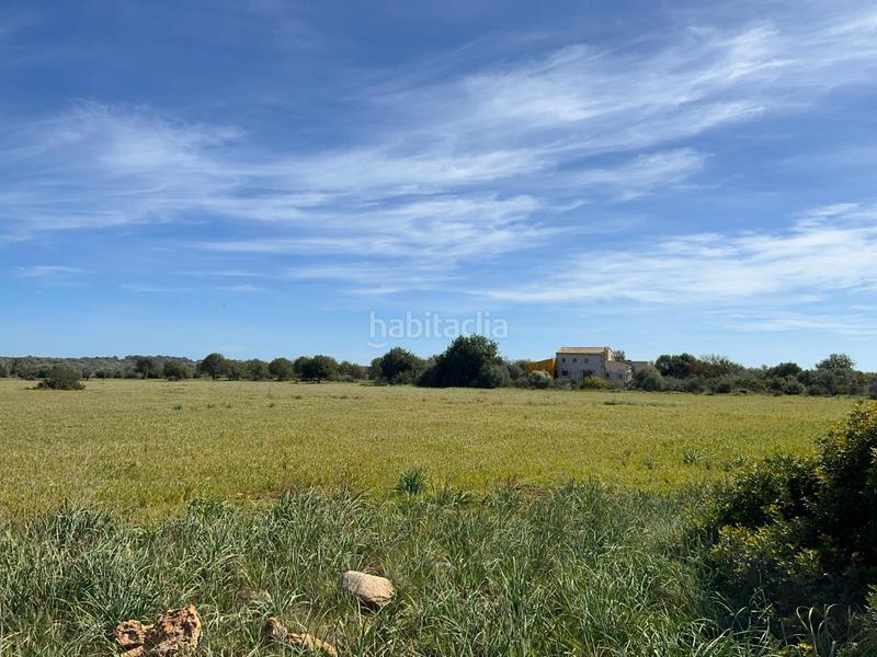 Foto bc097834-6845-471f-a1ec-a5af0560c3ed. Finca rústica a Ses Salines poble Ses Salines Foto bc097834-6845-471f-a1ec-a5af0560c3ed. Finca rústica a Ses Salines poble Ses Salines