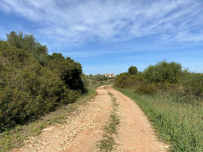 Foto d2ea12d8-0fd2-459a-af88-e8fe58850a66. Finca rústica a Ses Salines poble Ses Salines Foto d2ea12d8-0fd2-459a-af88-e8fe58850a66. Finca rústica a Ses Salines poble Ses Salines