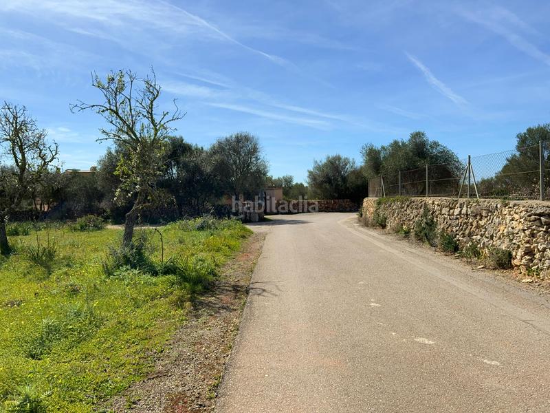 Foto e0e394ef-23d0-487e-b9b9-b875409498e0. Finca rústica a Ses Salines poble Ses Salines Foto e0e394ef-23d0-487e-b9b9-b875409498e0. Finca rústica a Ses Salines poble Ses Salines