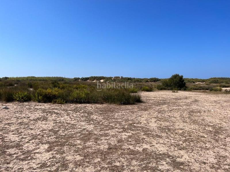 Foto e74e6f1e-99d4-4259-8580-930fe7e5ce3c. Masia a Las Tres Piedras - Costa Ballena Chipiona Foto e74e6f1e-99d4-4259-8580-930fe7e5ce3c. Masia a Las Tres Piedras - Costa Ballena Chipiona