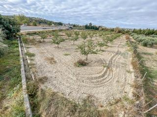 Finca rústica a Camino durcal 10t. Terreno de 2588m2 en venta en camino durcal 10t, alhendin Finca rústica a Camino durcal 10t. Terreno de 2588m2 en venta en camino durcal 10t, alhendin