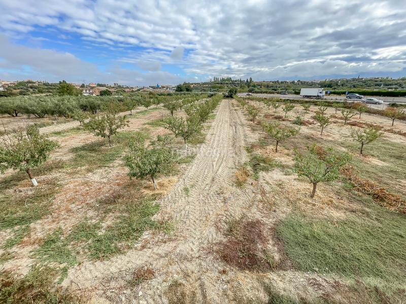 Foto 28da6257-6320-406f-82db-55e770e7d72e. Finca rústica a camino durcal 10t a Carretera de Granada-La Alcazaba Alhendín Foto 28da6257-6320-406f-82db-55e770e7d72e. Finca rústica a camino durcal 10t a Carretera de Granada-La Alcazaba Alhendín