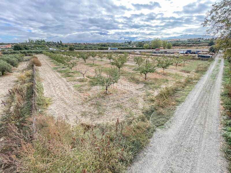 Foto 48358f31-4c87-49ae-89d9-a33aab3b943d. Finca rústica a camino durcal 10t a Carretera de Granada-La Alcazaba Alhendín Foto 48358f31-4c87-49ae-89d9-a33aab3b943d. Finca rústica a camino durcal 10t a Carretera de Granada-La Alcazaba Alhendín