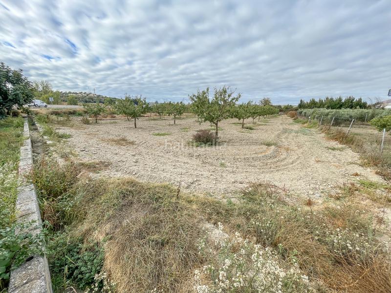 Foto 54de0a79-aa8a-4da9-9f71-e1d8f7e983f4. Finca rústica a camino durcal 10t a Carretera de Granada-La Alcazaba Alhendín Foto 54de0a79-aa8a-4da9-9f71-e1d8f7e983f4. Finca rústica a camino durcal 10t a Carretera de Granada-La Alcazaba Alhendín