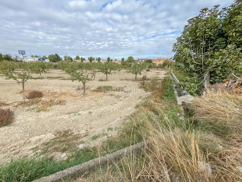 Foto 6e4a1786-288b-4eee-a78b-21968d7f0cd1. Finca rústica a camino durcal 10t a Carretera de Granada-La Alcazaba Alhendín Foto 6e4a1786-288b-4eee-a78b-21968d7f0cd1. Finca rústica a camino durcal 10t a Carretera de Granada-La Alcazaba Alhendín