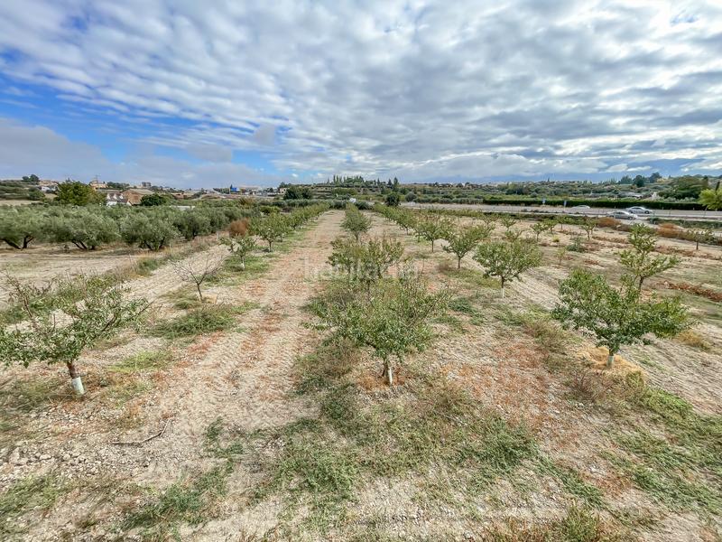 Foto d4a51878-8214-4f1a-b63b-a04ba2bbe244. Finca rústica a camino durcal 10t a Carretera de Granada-La Alcazaba Alhendín Foto d4a51878-8214-4f1a-b63b-a04ba2bbe244. Finca rústica a camino durcal 10t a Carretera de Granada-La Alcazaba Alhendín