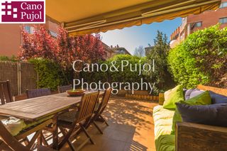 Ground floor Arxiu-can ganxet Ground floor Arxiu-can ganxet